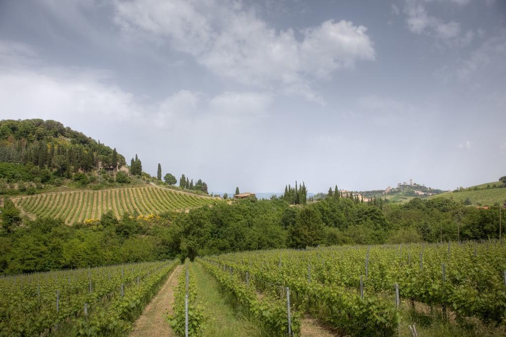 B&B Podere Montese San Gimignano Exterior foto